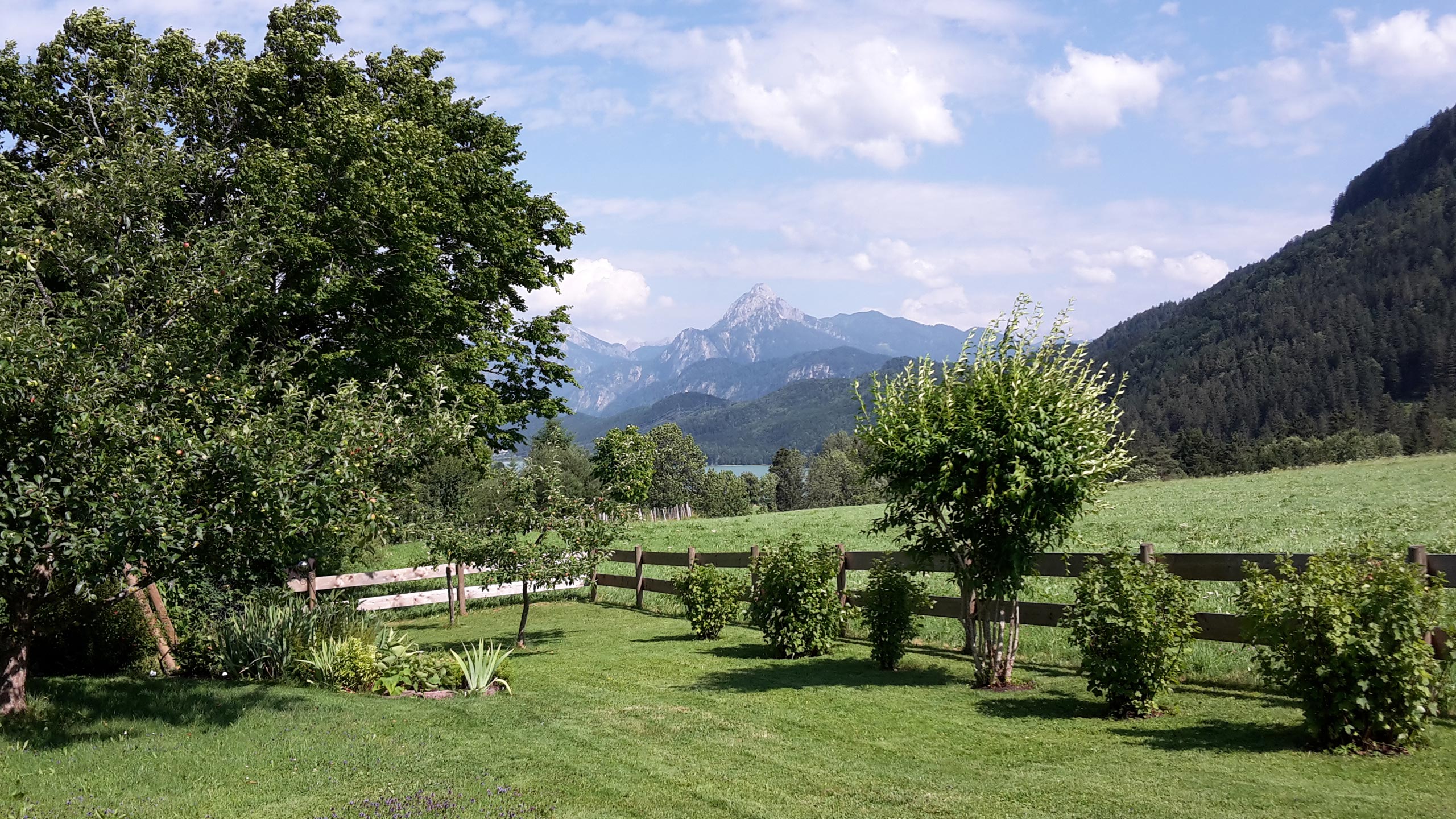 Harder Ferienwohnungen in Füssen-Weißensee im Allgäu